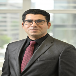 Sadiq Amini